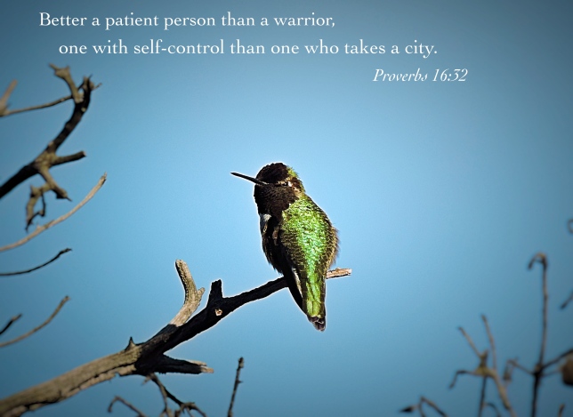 proverbs 16 32